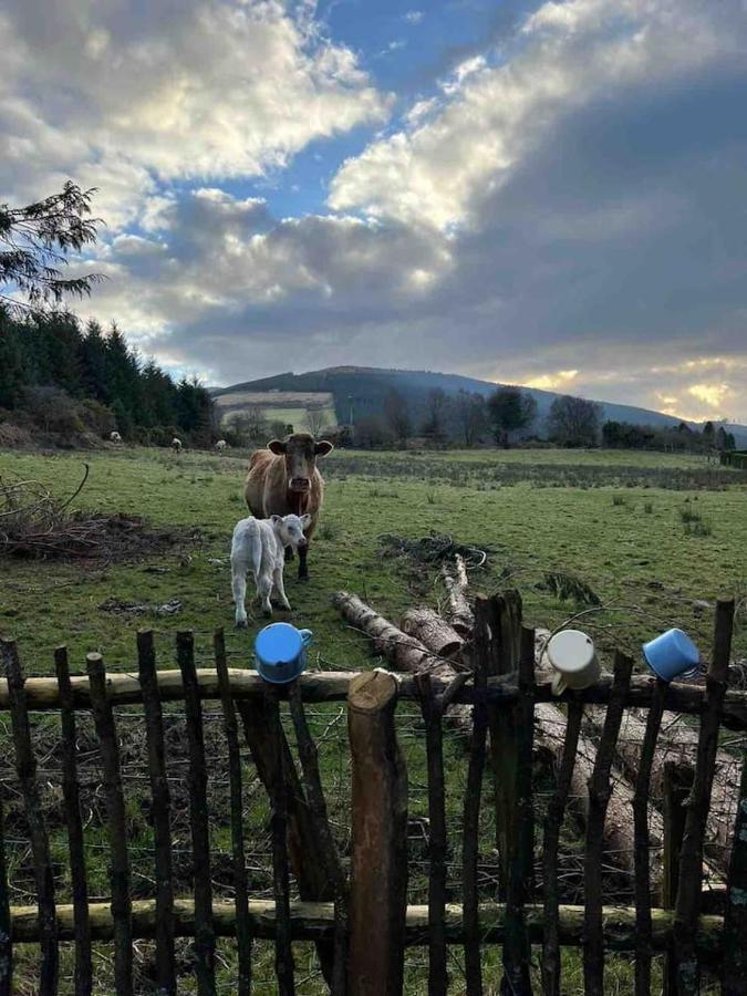 Aughavannagh Yurt Glamping Aughrim Eksteriør bilde