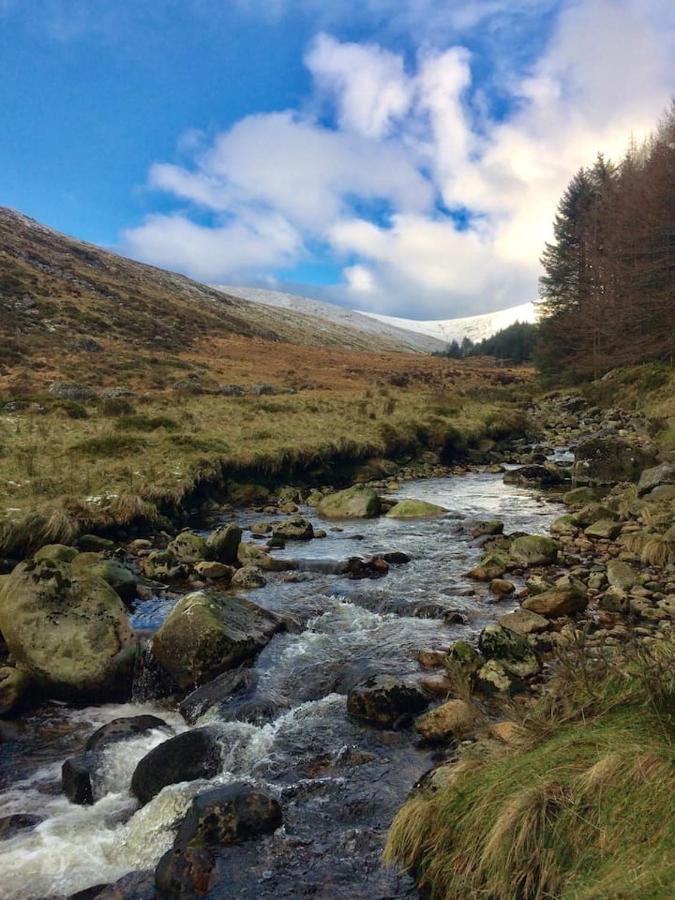 Aughavannagh Yurt Glamping Aughrim Eksteriør bilde