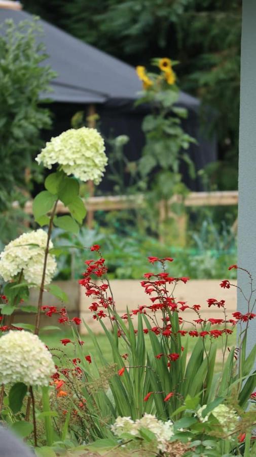 Aughavannagh Yurt Glamping Aughrim Eksteriør bilde
