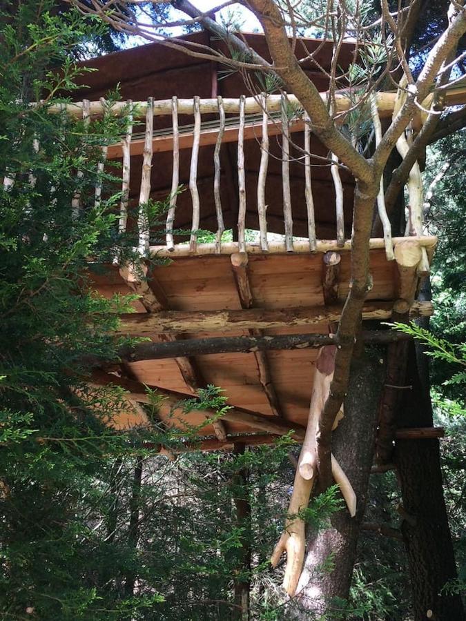 Aughavannagh Yurt Glamping Aughrim Eksteriør bilde