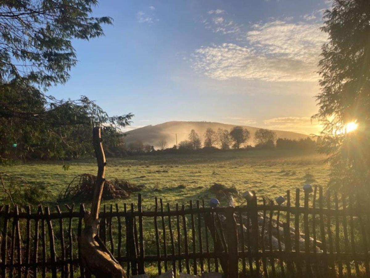Aughavannagh Yurt Glamping Aughrim Eksteriør bilde