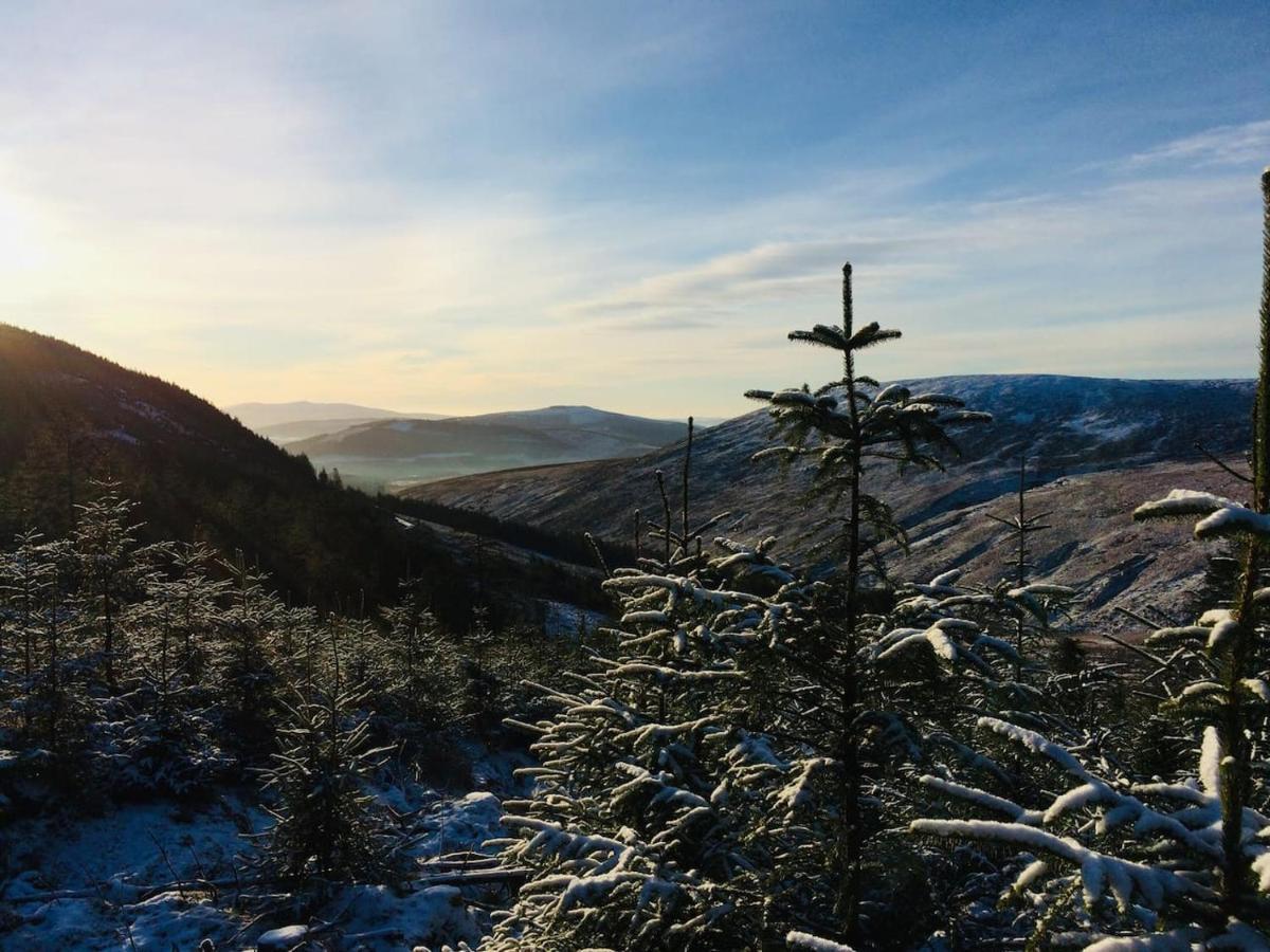 Aughavannagh Yurt Glamping Aughrim Eksteriør bilde